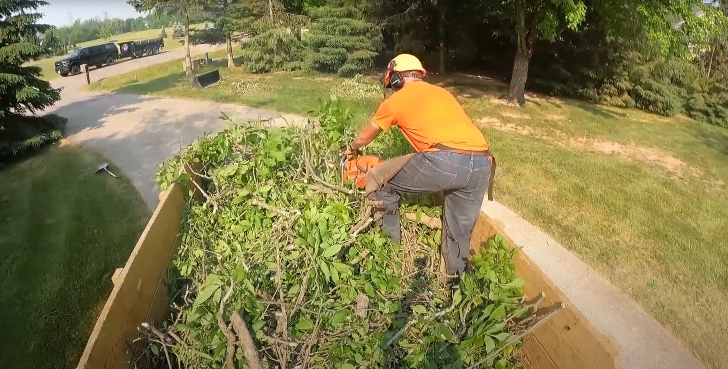 Emergency tree service crew working on storm-damaged tree in Dale City, VA